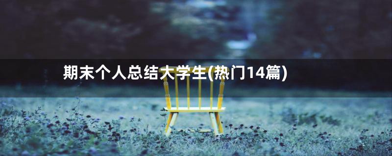 期末个人总结大学生(热门14篇)