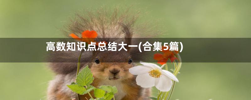 高数知识点总结大一(合集5篇)