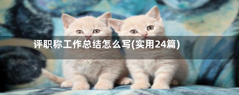 评职称工作总结怎么写(实用24篇)