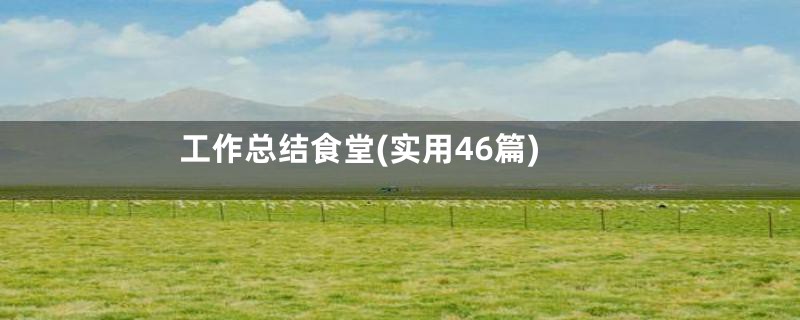 工作总结食堂(实用46篇)