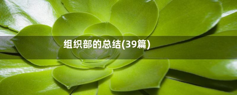 组织部的总结(39篇)