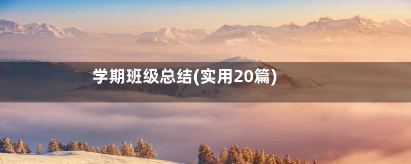 学期班级总结(实用20篇)