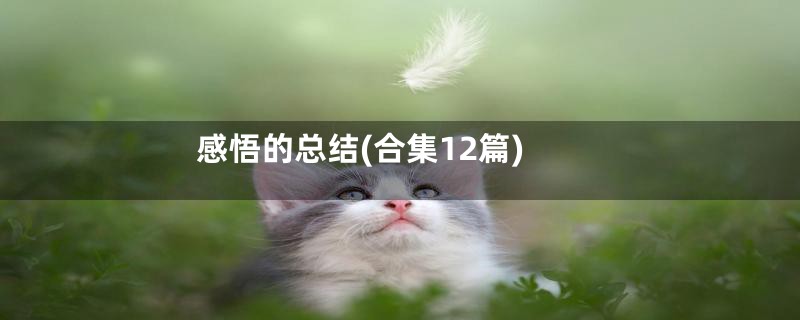 感悟的总结(合集12篇)