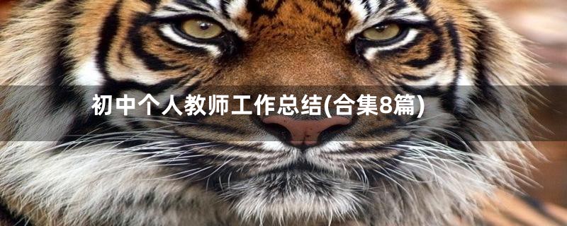 初中个人教师工作总结(合集8篇)