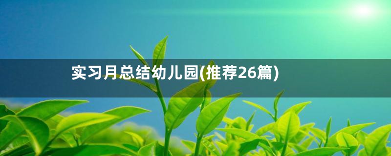 实习月总结幼儿园(推荐26篇)