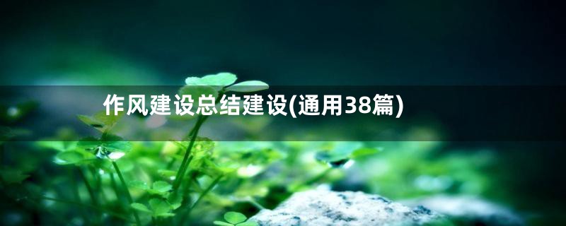 作风建设总结建设(通用38篇)