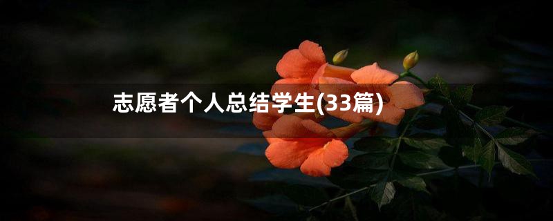 志愿者个人总结学生(33篇)