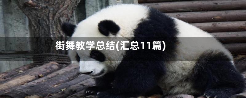 街舞教学总结(汇总11篇)