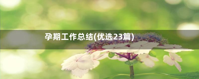 孕期工作总结(优选23篇)
