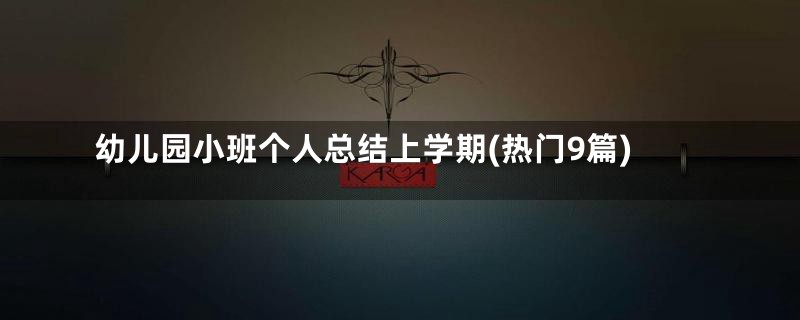 幼儿园小班个人总结上学期(热门9篇)