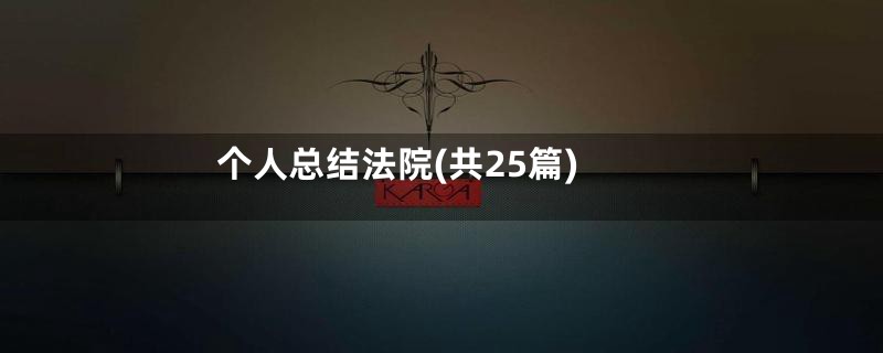 个人总结法院(共25篇)