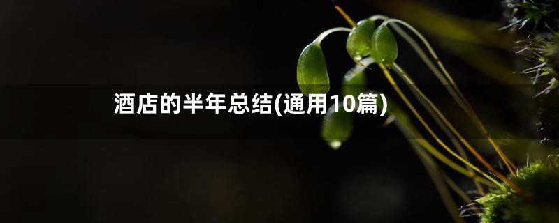酒店的半年总结(通用10篇)