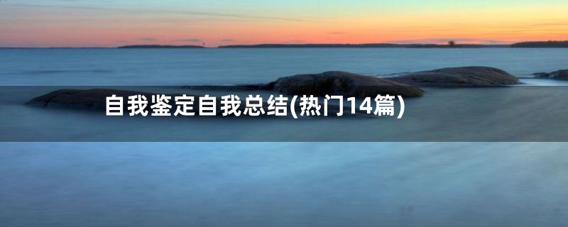 自我鉴定自我总结(热门14篇)