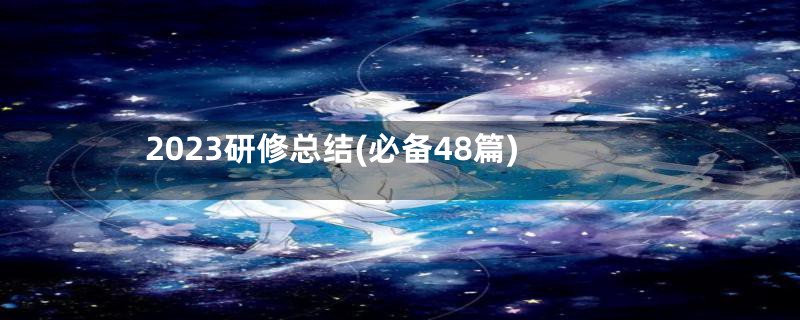 2023研修总结(必备48篇)