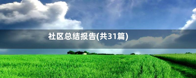 社区总结报告(共31篇)