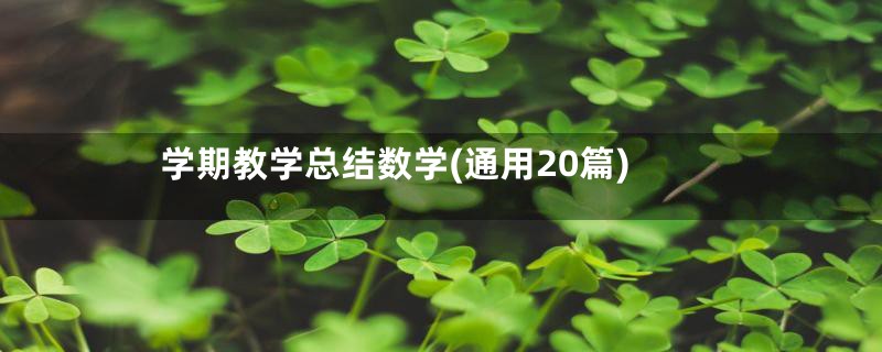 学期教学总结数学(通用20篇)