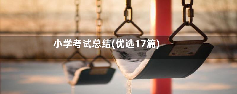 小学考试总结(优选17篇)