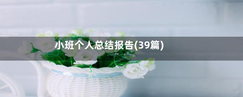 小班个人总结报告(39篇)