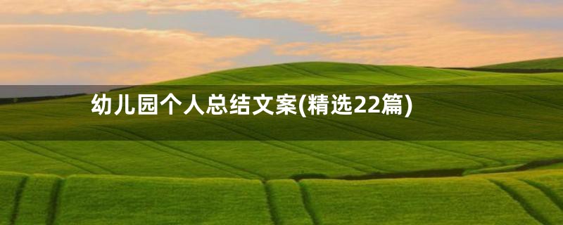 幼儿园个人总结文案(精选22篇)