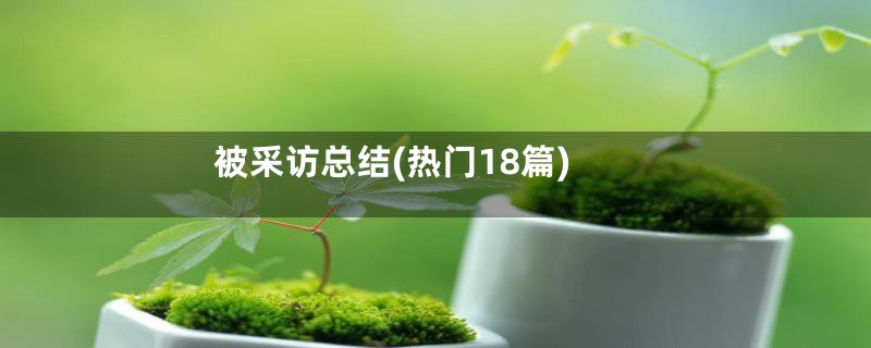 被采访总结(热门18篇)