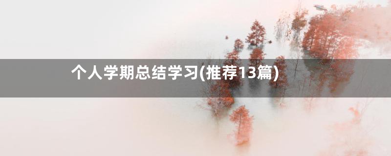 个人学期总结学习(推荐13篇)