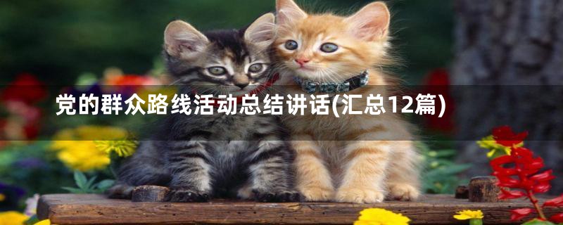 党的群众路线活动总结讲话(汇总12篇)