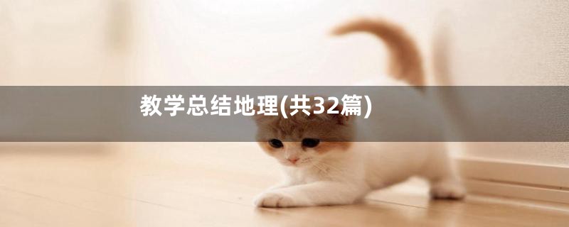 教学总结地理(共32篇)