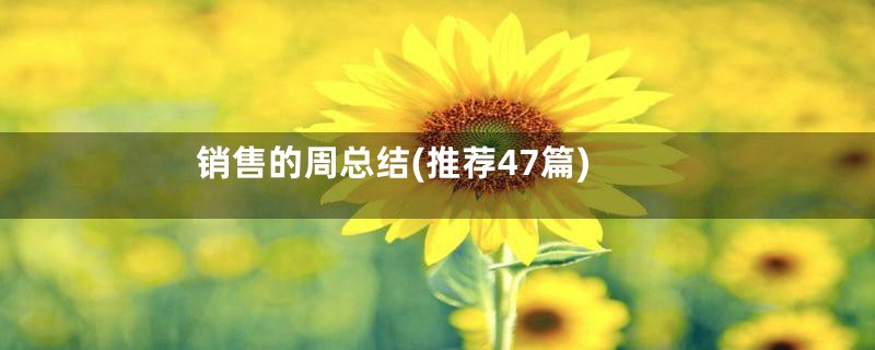 销售的周总结(推荐47篇)