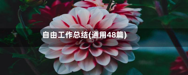 自由工作总结(通用48篇)