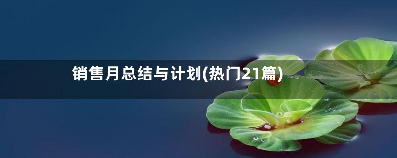销售月总结与计划(热门21篇)