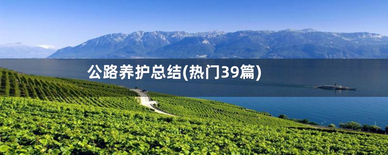 公路养护总结(热门39篇)