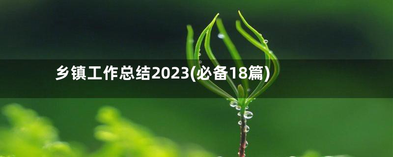 乡镇工作总结2023(必备18篇)