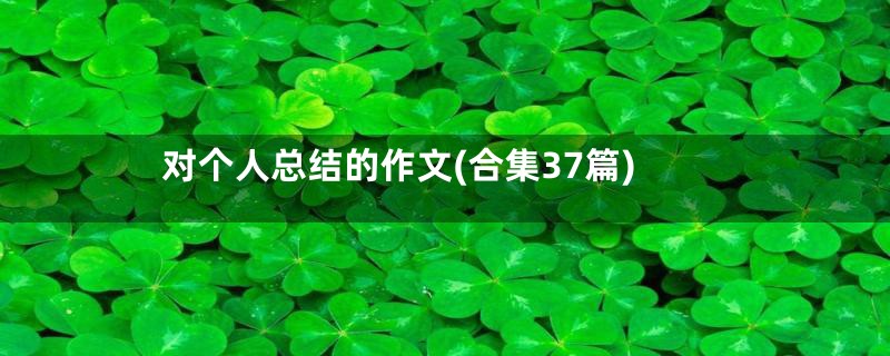 对个人总结的作文(合集37篇)
