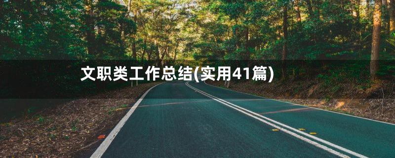 文职类工作总结(实用41篇)