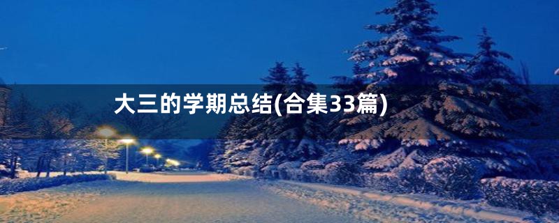 大三的学期总结(合集33篇)