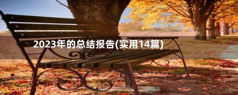 2023年的总结报告(实用14篇)