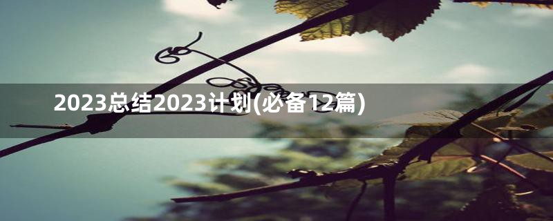 2023总结2023计划(必备12篇)