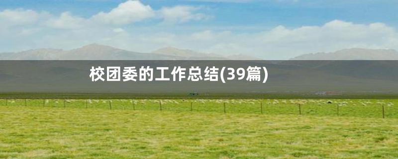 校团委的工作总结(39篇)