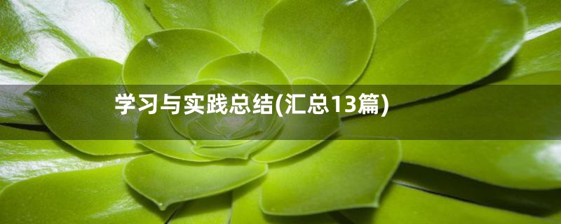 学习与实践总结(汇总13篇)