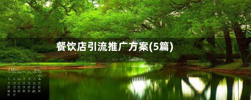 餐饮店引流推广方案(5篇)