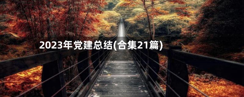 2023年党建总结(合集21篇)