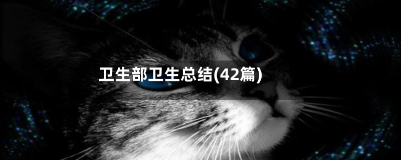卫生部卫生总结(42篇)