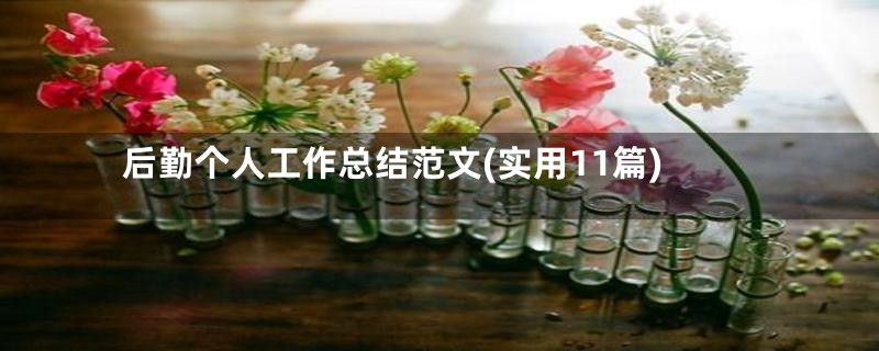 后勤个人工作总结范文(实用11篇)
