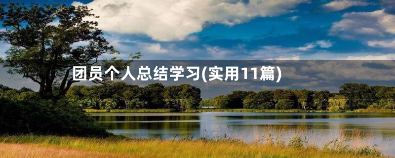 团员个人总结学习(实用11篇)