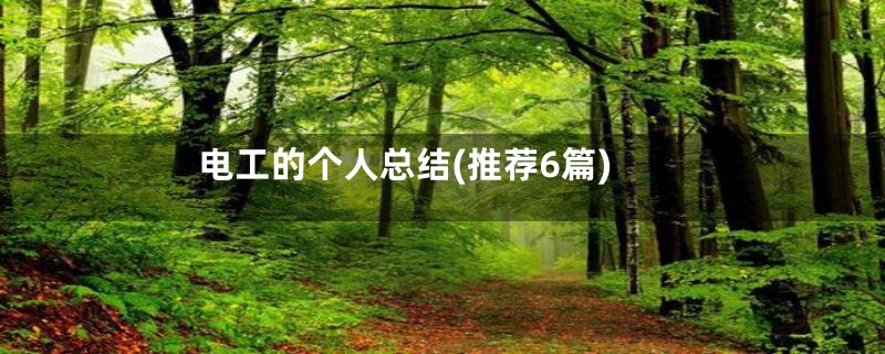 电工的个人总结(推荐6篇)