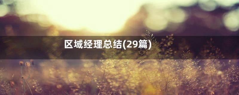 区域经理总结(29篇)