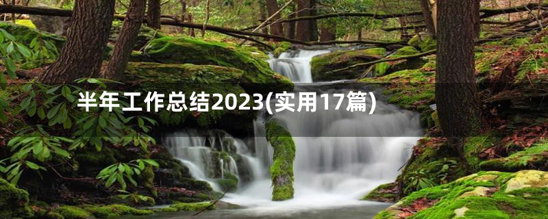 半年工作总结2023(实用17篇)