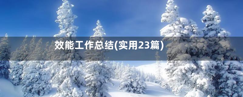 效能工作总结(实用23篇)