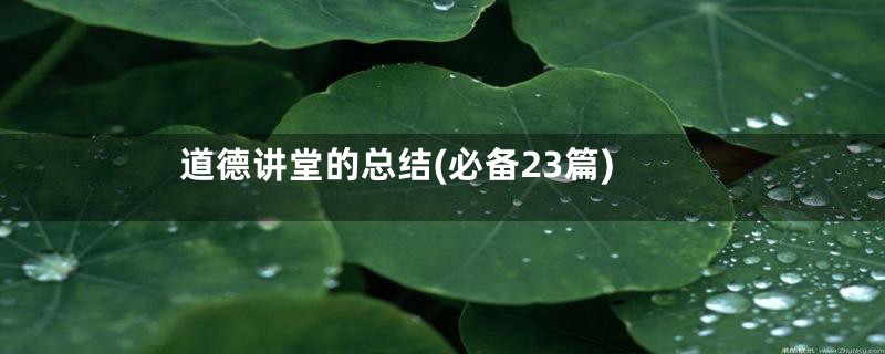 道德讲堂的总结(必备23篇)