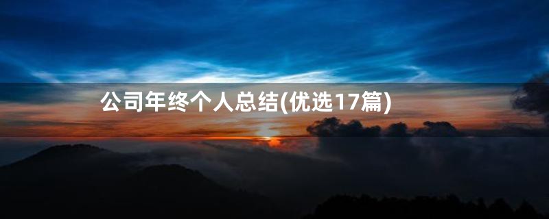 公司年终个人总结(优选17篇)